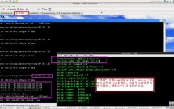 Linux服务器安全加固从防火墙到权限管理（linux服务器系统安全加固）