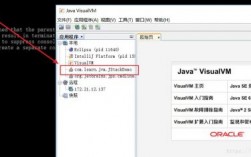 java服务器的选择（java版服务器地址推荐）