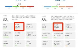 华为荣耀体脂（华为荣耀体脂称下一个什么软件）