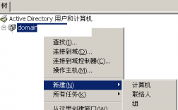 域中的电脑怎么进入服务器（域用户怎么登录服务器）