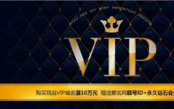 vip域名怎么样（vip域名值钱吗）