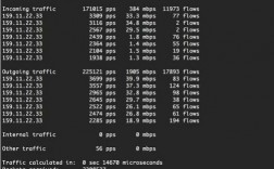服务器ip被ddos（服务器IP被扫）