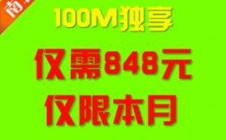 独享ip服务器租用（百兆独享服务器租用）