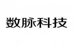 数脉科技怎么样（数脉是什么意思）