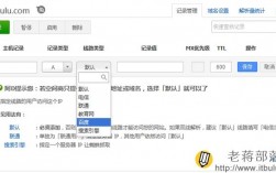 app域名与dns（域名dnspod）