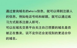 域名被抢注了怎么办（域名被注册）
