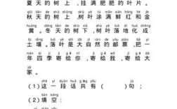 为什么私立学校会教拼音（一年级阅读是带读还是自己拼读)
