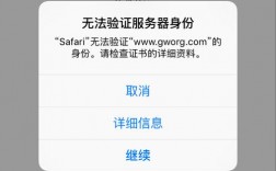 macsafari无法与服务器建立安全连接，网站美国服务器有哪些