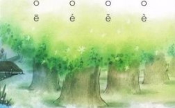 植物o的拼音声调标在哪里（植物拼音怎么写的）