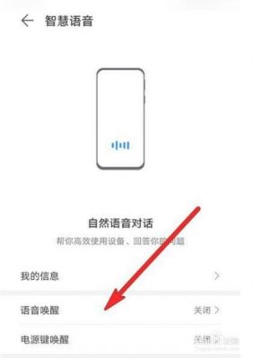 华为语音打字怎么开启(华为语音打字怎么开启设置)-图1 华为语音打字怎么开启(华为语音打字怎么开启设置)-图1