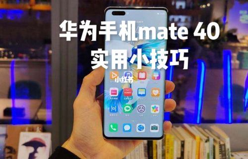 华为手机入门(华为手机入门技巧)-图2 华为手机入门(华为手机入门技巧)-图2
