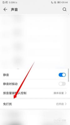 华为视频没声音(华为视频没声音 电话有声音)-图2 华为视频没声音(华为视频没声音 电话有声音)-图2