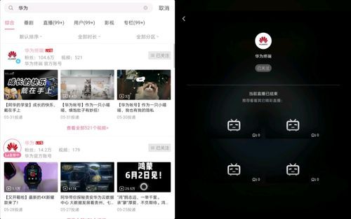 华为荣耀b站(华为b站是什么意思)-图3 华为荣耀b站(华为b站是什么意思)-图3