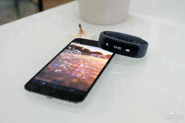 华为手环充电(华为手环充电充不进去怎么办)-图3 华为手环充电(华为手环充电充不进去怎么办)-图3