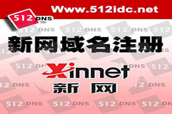 新网域名双线解析(新网域名双线解析方法)-图1 新网域名双线解析(新网域名双线解析方法)-图1