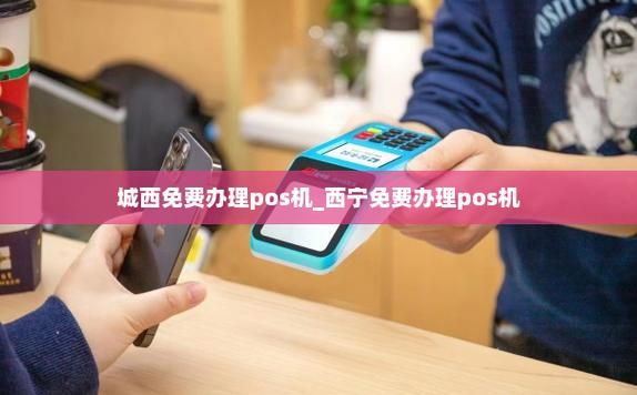 西宁哪里能上门办pos机(西宁哪有办个人pos机)-图1 西宁哪里能上门办pos机(西宁哪有办个人pos机)-图1