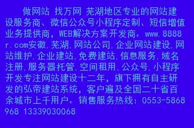 芜湖哪里有做网站的（芜湖做网站的公司）-图2