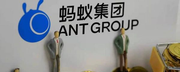 蚂蚁集团收购域名(蚂蚁集团收购成飞)-图1 蚂蚁集团收购域名(蚂蚁集团收购成飞)-图1