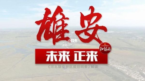 雄安新区税收归哪里(雄安新区政策)-图3 雄安新区税收归哪里(雄安新区政策)-图3