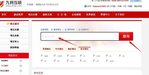 怎么查域名能否注册(如何查域名是否注册)-图2 怎么查域名能否注册(如何查域名是否注册)-图2