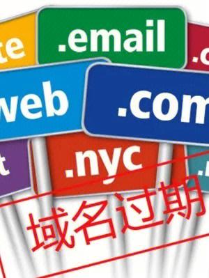 过期域名成功率(过期域名成功率大吗)-图2 过期域名成功率(过期域名成功率大吗)-图2
