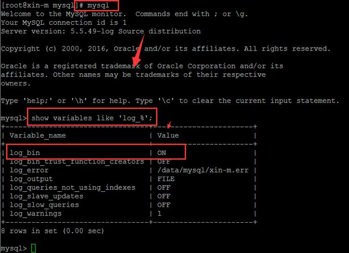 mysql服务器空间(mysql的服务器地址)-图1 mysql服务器空间(mysql的服务器地址)-图1