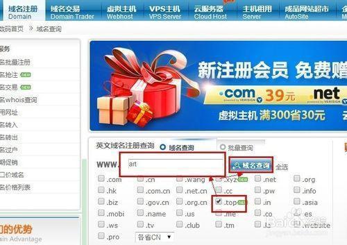 怎么注册top域名(top域名怎么样)-图3 怎么注册top域名(top域名怎么样)-图3