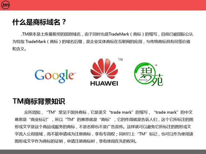 域名tm是什么意思(tn域名)-图1 域名tm是什么意思(tn域名)-图1
