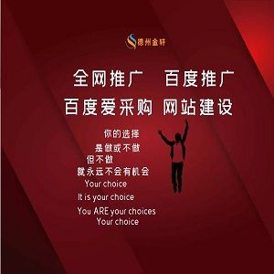 怎样做好德州网站推广,德州网站推广的重要性(怎样做好德州网站推广,德州网站推广的重要性和必要性)-图2 怎样做好德州网站推广,德州网站推广的重要性(怎样做好德州网站推广,德州网站推广的重要性和必要性)-图2